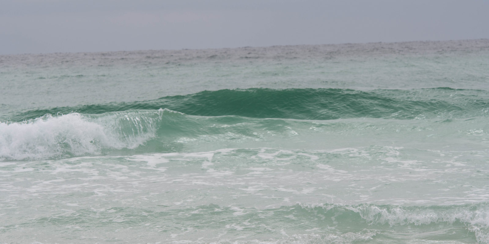 jim-west-collierville-tn-central-fl-landscape-476