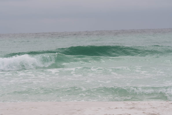 jim-west-collierville-tn-central-fl-landscape-476