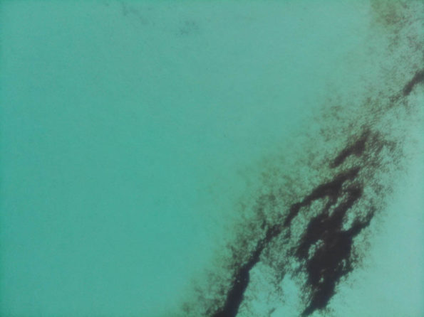 jim west central florida collierville tn ocean